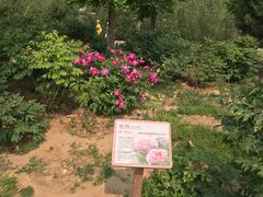 -北京西山国家森林公园