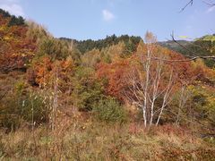 -道须沟旅游风景区