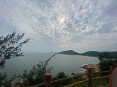 -广东惠东海龟国家级自然保护区