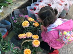 -双季花艺园艺市场(浦东店)