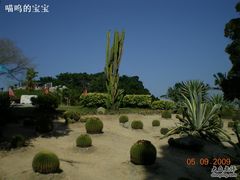 -胡里山炮台