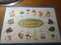 -菌彩云南野生菌火锅(万达广场店)