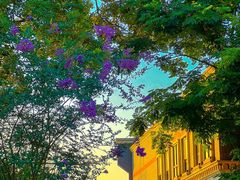 -德门仁里精品酒店(安仁店)