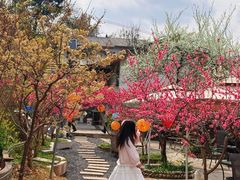-桃源山庄·水蜜桃采摘·柴火鸡·烧烤团建(龙泉山店)