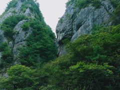 -秦岭天竺山景区