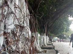 景点-黄埔古港