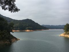 -广州市流溪河国家森林公园