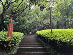 -杭州半山国家森林公园