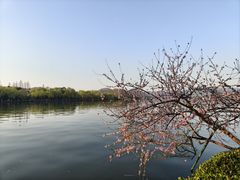 -西湖天地