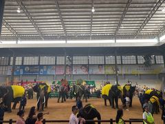 -东芭乐园