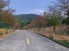 -福清灵石山国家森林公园