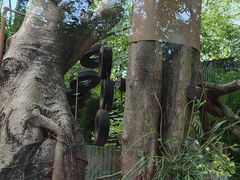 -深圳野生动物园