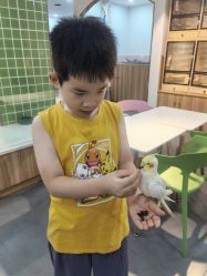 -Moni星球萌宠·小马宝莉·灵蛇·高端高阶全萌宠互动体验俱乐部(红豆国际广场店)