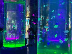 -海合安成都极地海洋公园