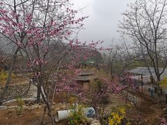 -济南马套将军山