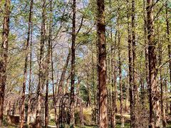 -国家植物园南园