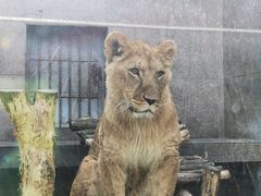 -西安秦岭野生动物园
