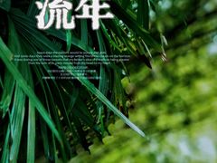 -望江楼公园