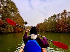 -上海海湾国家森林公园