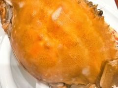 -北塘海鲜·天津菜(大光明桥旗舰店)