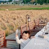 成都周边 | 童话里的秋天，大致如此