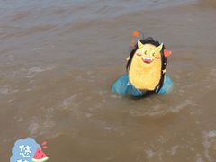 -日照海滨国家森林公园