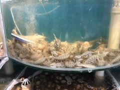-同道蒸汽海鲜烧烤自助(刘庄夜市店)