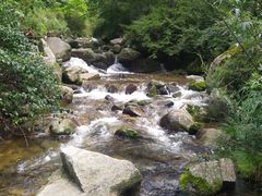 -秦岭风景区