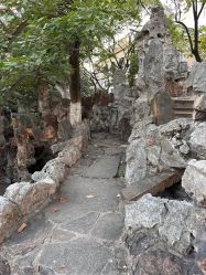 -苏州大学附属儿童医院(景德路院区)