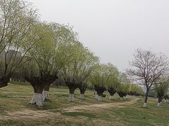 -汉长安城未央宫国家考古遗址公园