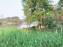 -重庆彩云湖湿地公园