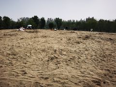 -东郊湿地公园