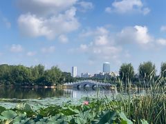 -长春市南湖公园