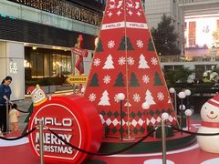 -胡桃里音乐酒馆(罗湖HALO广场店)