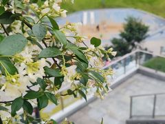 -重庆彩云湖湿地公园