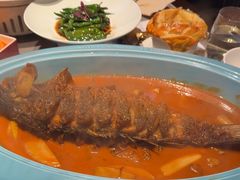 -阿五黄河大鲤鱼(建业路店)