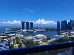 -新加坡瑞士史丹福酒店