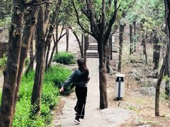 -云龙山