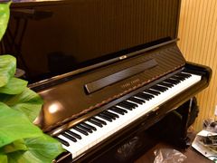 -乐童乐人现代音乐艺术学校(万柳校区)