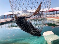 -广州市流溪河国家森林公园