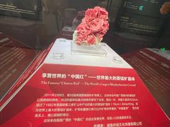 -湖南省地质博物馆