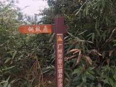 -红山村