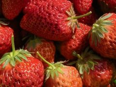 -昌平兴寿秀秀草莓采摘园