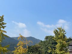 -听风阁农家私房菜茶楼(龙坞店)
