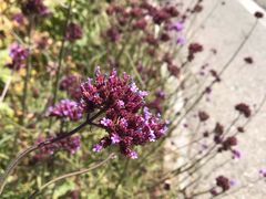 -鄂尔多斯野生动物园