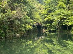 -石台牯牛降景区