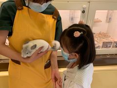 -龙猫仔乐园(惠福东路店)