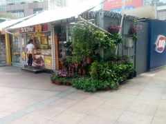 -证大大拇指广场(芳甸路店)