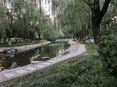 -丰台科技园生态主题公园