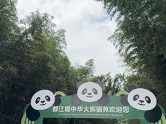 -都江堰中华大熊猫苑